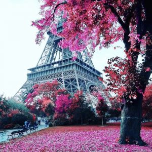 Service Interview TV avec Angélique (Paris)