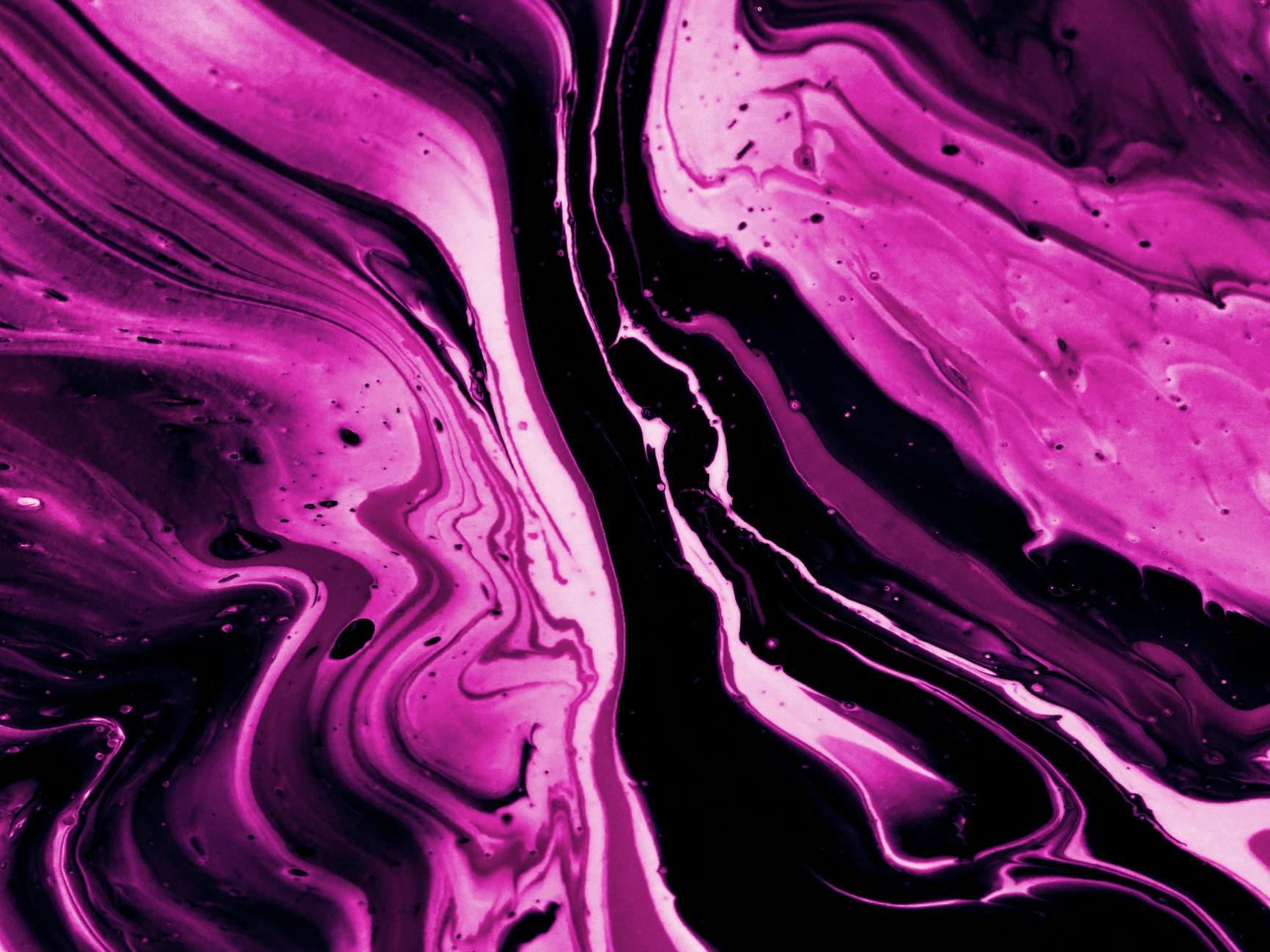 pink and black illustration
